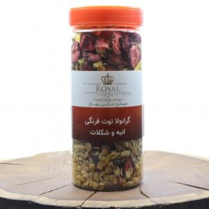 گرانولا توت فرنگی انبه و شکلات رویال