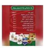 پک سازمانی مدیریتی رویال