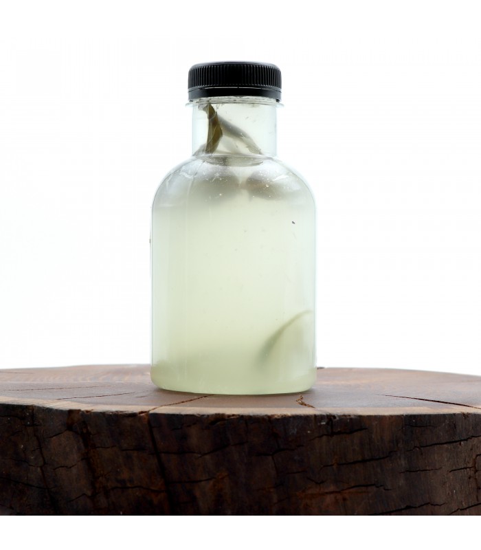 خنک شو لیموناد رویال