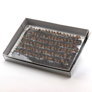 خرما گردو نارگیلی دیسی رویال